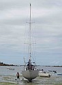 Trisalu 37 -7a